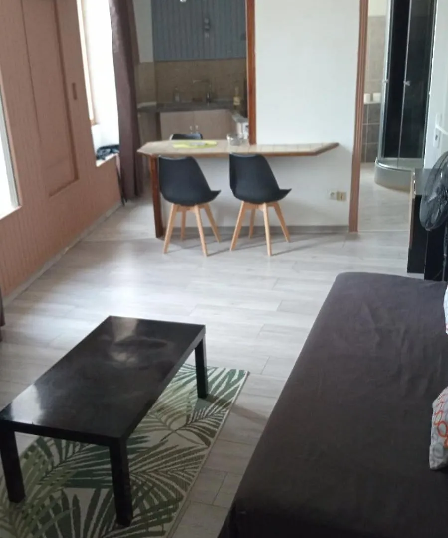 アパート Appartement Vue Panoramique Centre Historique オーブナ フランス